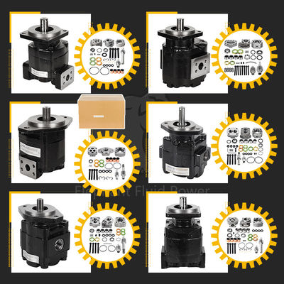 Parker Pompa żelaza Hp051a578beoh1511 Hydrauliczna Pompa i części zamienne w magazynie